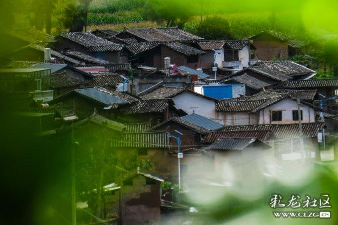 救援小洋葱