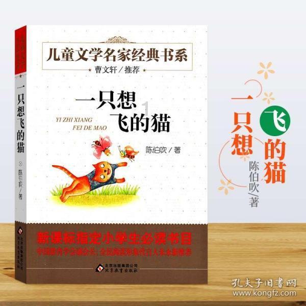 袋鼠兄弟2